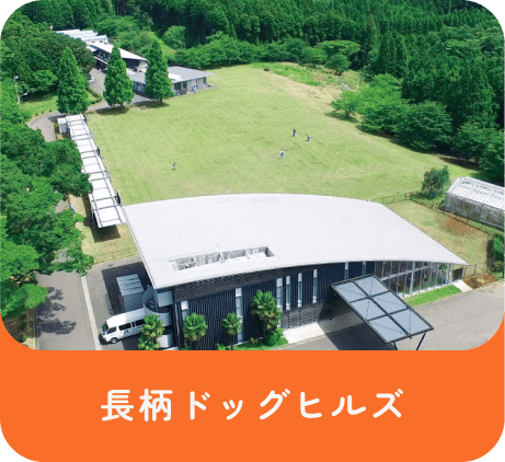長柄ドッグヒルズ