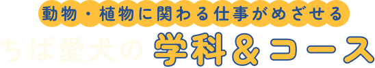動物・植物に関わる仕事がめざせるちば愛犬の学科＆コース