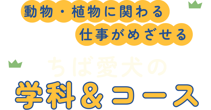 動物・植物に関わる仕事がめざせるちば愛犬の学科＆コース
