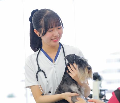 動物看護コース