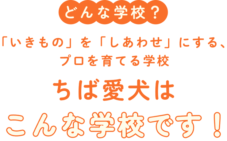 どんな学校？「いきもの」を「しあわせ」にする、プロを育てる学校｜ちば愛犬はこんな学校です！