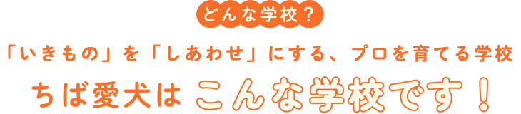 どんな学校？「いきもの」を「しあわせ」にする、プロを育てる学校｜ちば愛犬はこんな学校です！