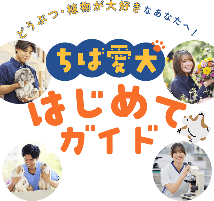 どうぶつ・植物が大好きなあなたへ！ちば愛犬はじめてガイド