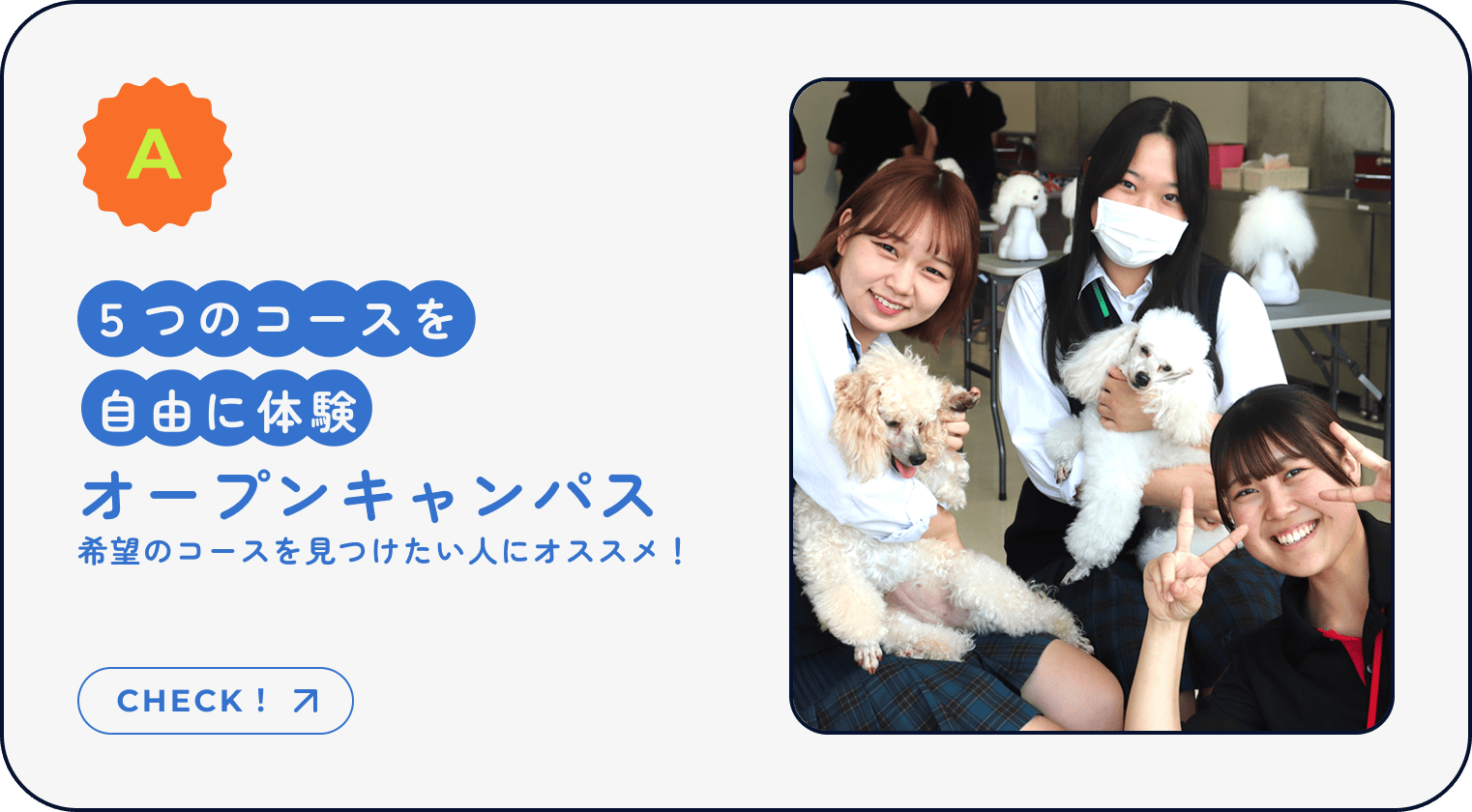 A｜5つのコースを自由に体験｜オープンキャンパス｜希望のコースを見つけたい人にオススメ！