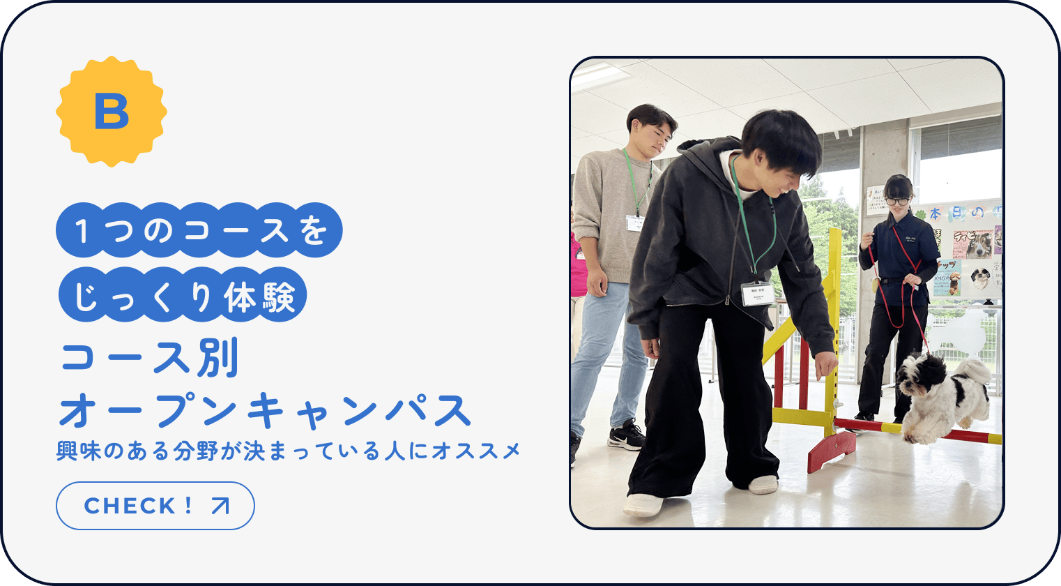 B｜1つのコースをじっくり体験｜コース別オープンキャンパス｜興味のある分野が決まっている人にオススメ