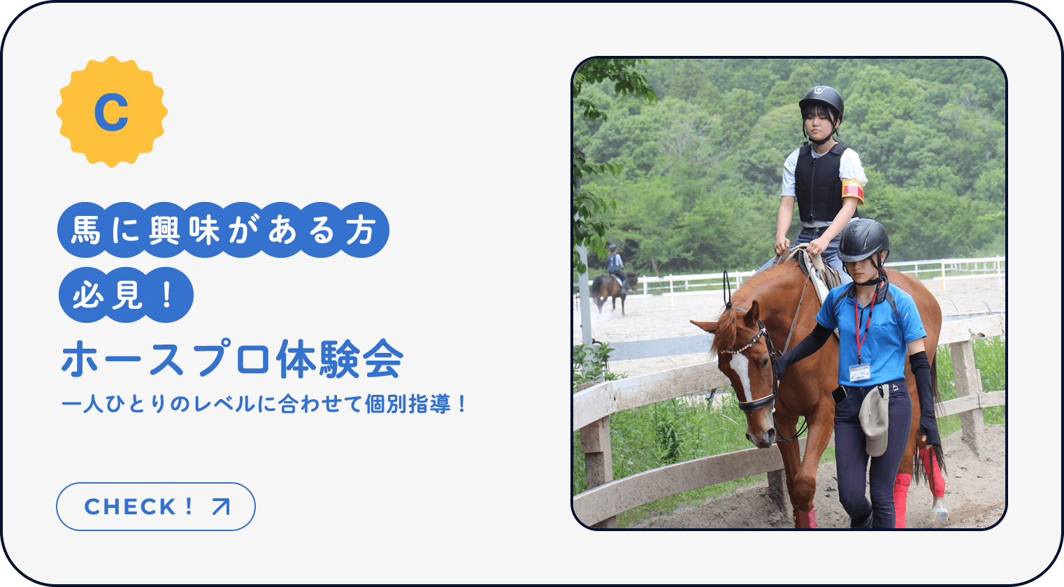 C｜馬に興味がある方必見！ホースプロ体験会｜一人ひとりのレベルに合わせて個別指導！