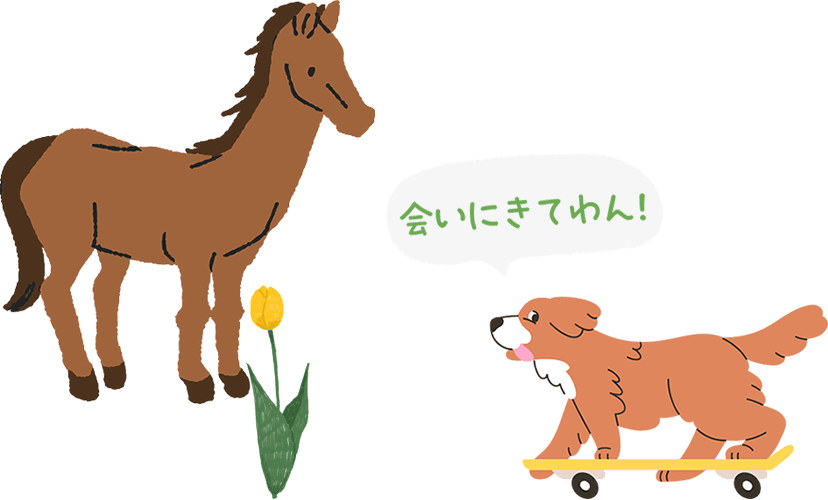 動物・植物のお仕事体験｜オープンキャンパスで会いにきてね！