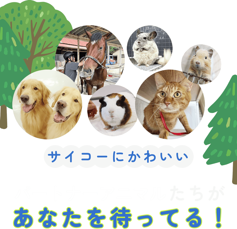 サイコーにかわいいパートナーアニマルたちがあなたを待ってる！
