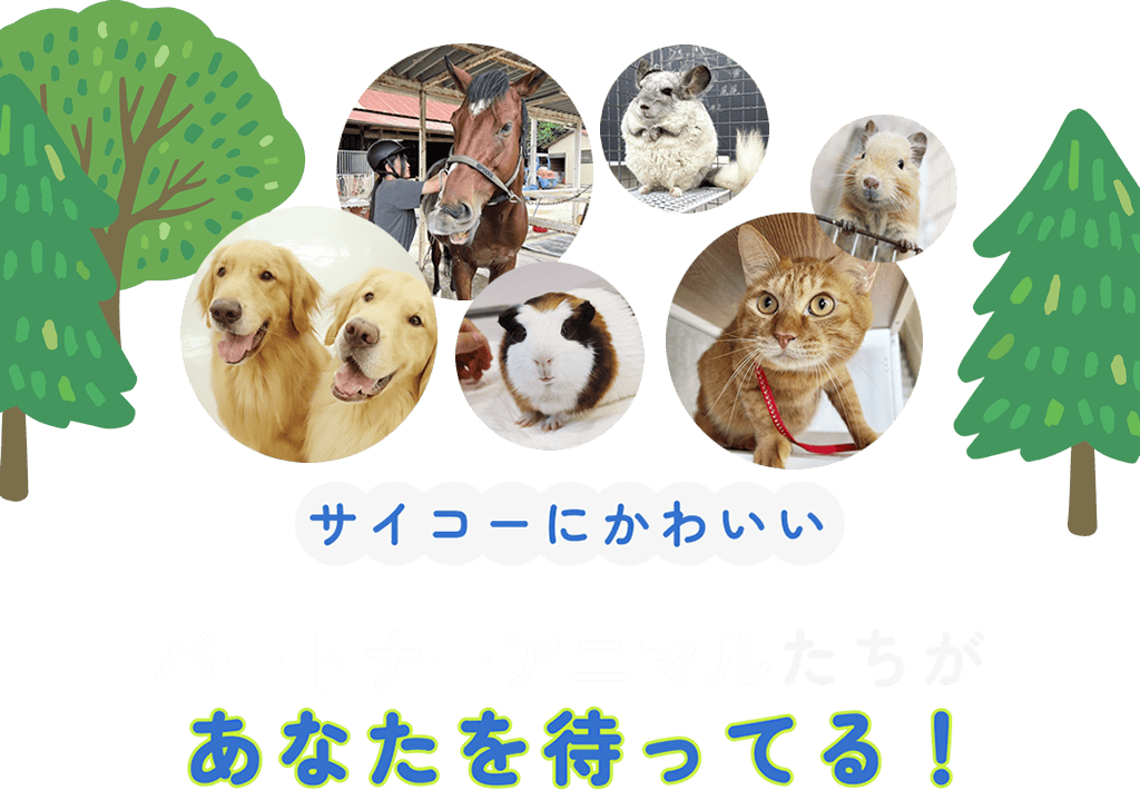 サイコーにかわいいパートナーアニマルたちがあなたを待ってる！
