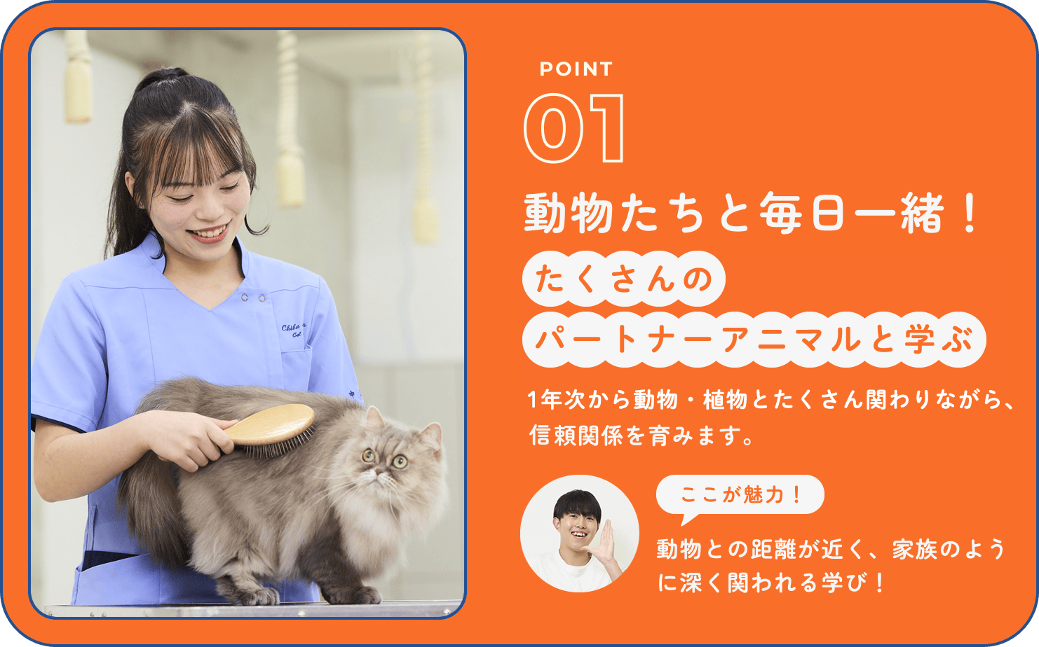 POINT01｜動物たちと毎日一緒！たくさんのパートナーアニマルと学ぶ｜1年次から動物・植物とたくさん関わりながら、信頼関係を育みます。ここが魅力！動物との距離が近く、家族のように深く関われる学び！