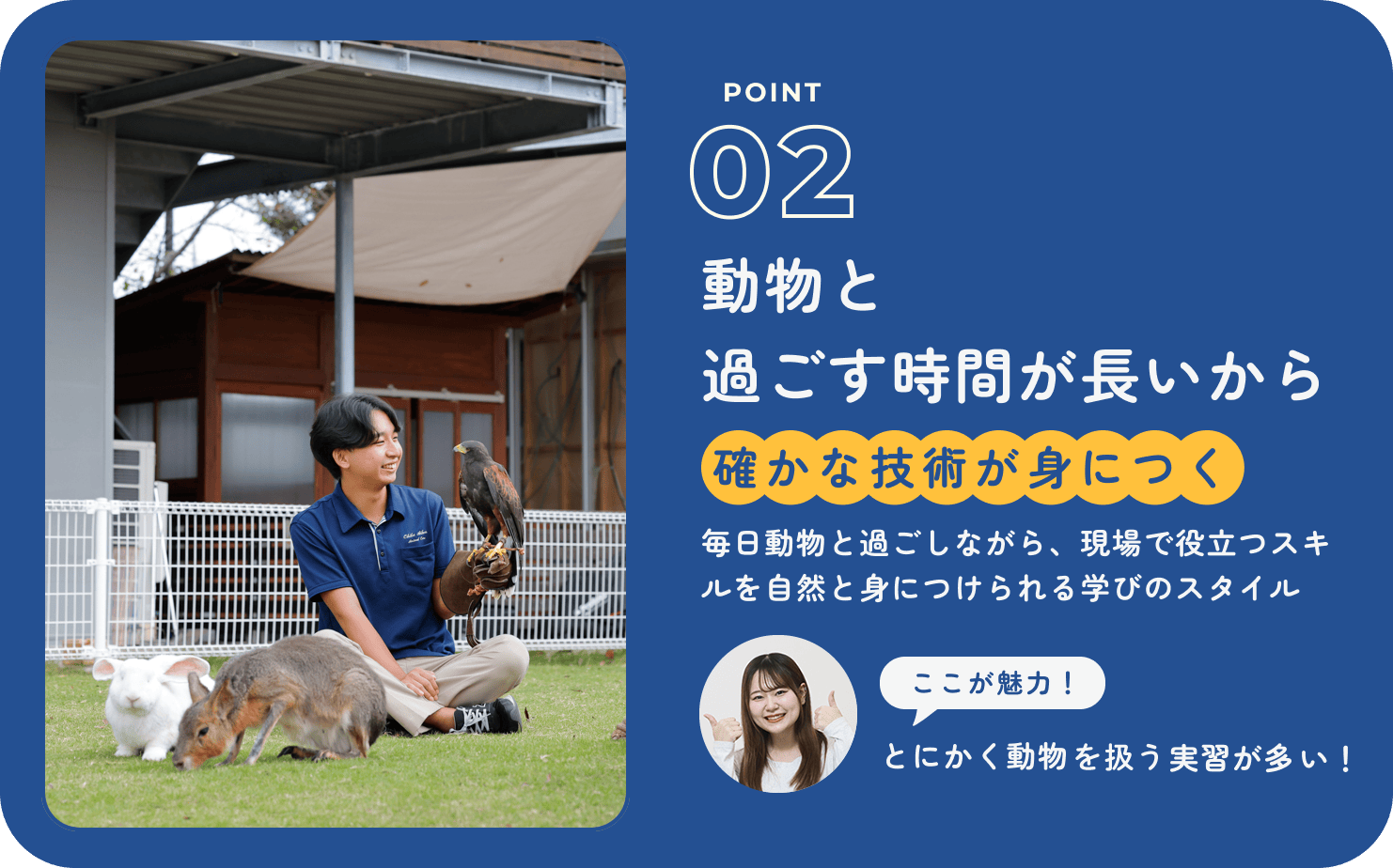 POINT02｜動物と過ごす時間が長いから確かな技術が身につく毎日動物と過ごしながら、現場で役立つスキルを自然と身につけられる学びのスタイル｜ここが魅力！とにかく動物を扱う実習が多い！