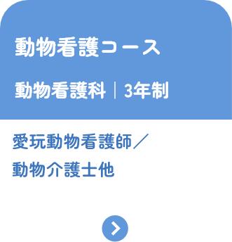 動物看護コース