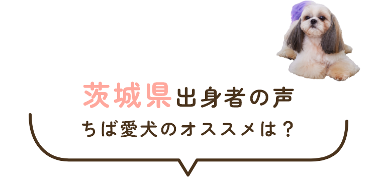 茨城県出身者の声