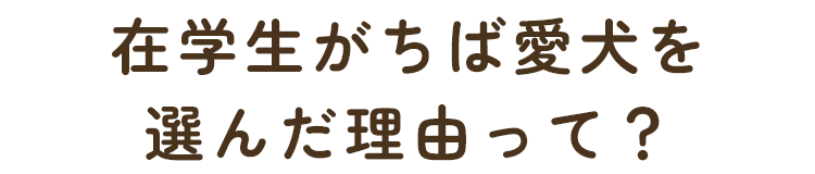 在学生がちば愛犬を選んだ理由って？