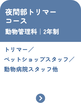 夜間部トリマーコース