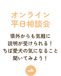 オンライン平日相談会