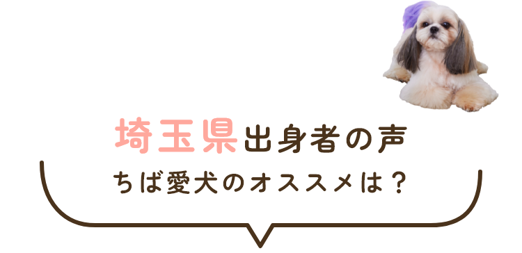 埼玉県出身者の声