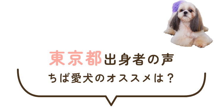 東京都出身者の声