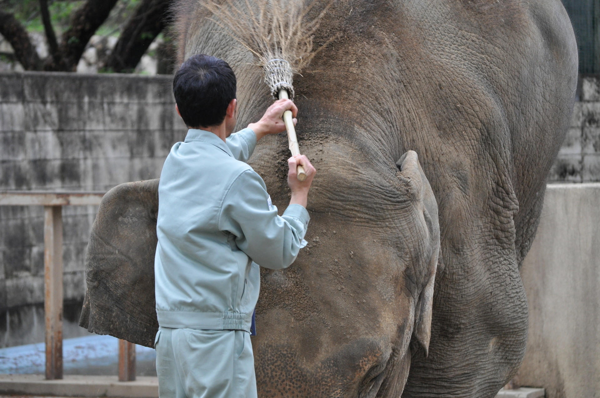 動物園の飼育員の仕事内容と適性